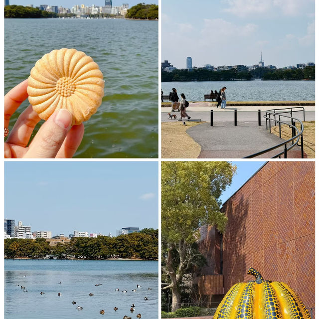 福岡大濠公園，被幸福擊中💕
