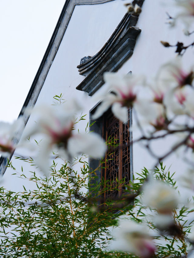 600年明朝重臣私家府邸，竟然藏在南京鬧市區