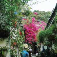 🌸春日限定！深圳甘坑古鎮花開成海啦