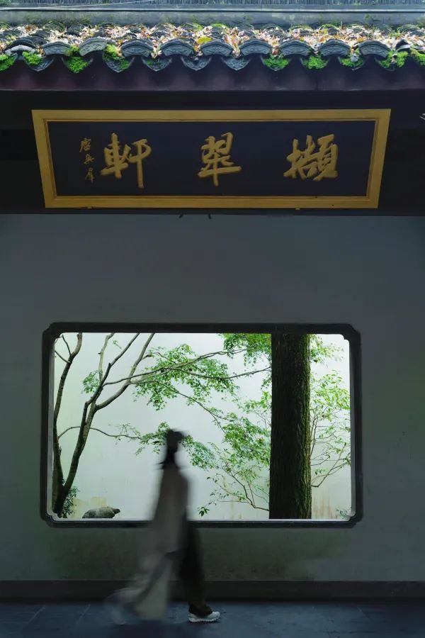 Discover the Most Relaxing City Walk Route Around West Lake!