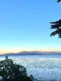 紅樹林海濱公園，超級愜意的深圳海邊綠洲✨