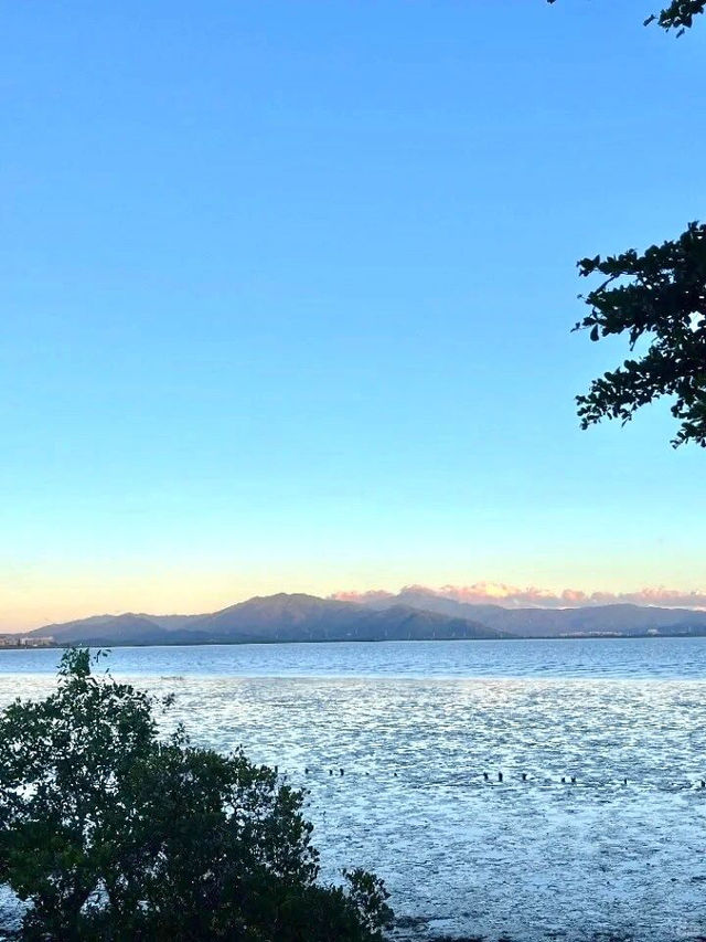 紅樹林海濱公園，超級愜意的深圳海邊綠洲✨