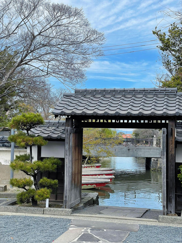 福岡柳川，粉櫻爛漫的水鄉綺夢