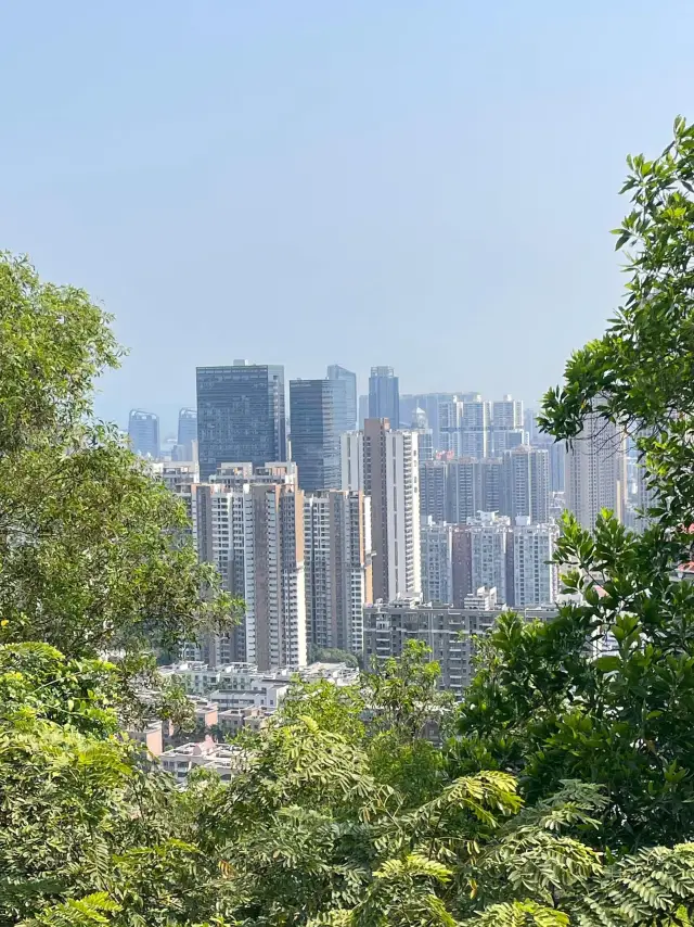 🌳珠海板樟山，都市桃源