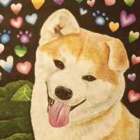 🐕可愛暴擊‼東京·澀谷✅竟然這麼可愛