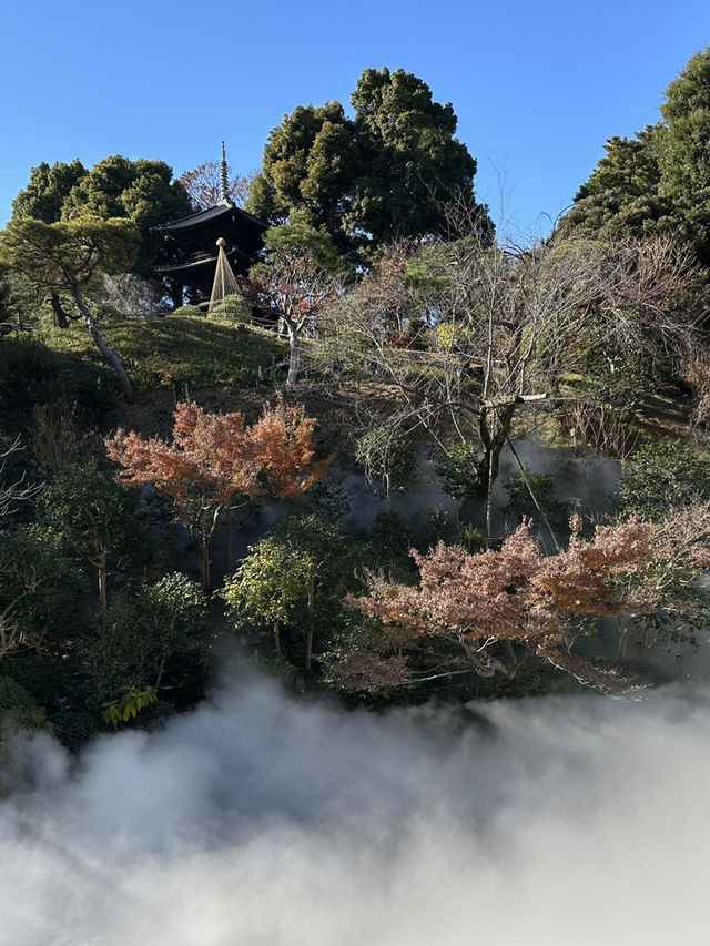 東京靜謐綠洲・椿山莊酒店