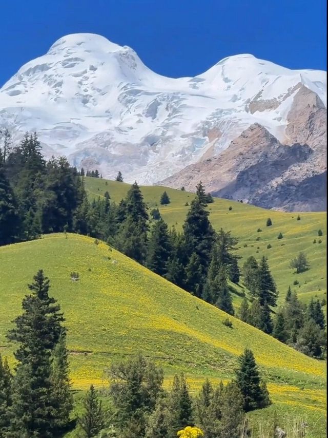 五月的格聶神山│闖入現實版童話世界，比瑞士更驚艷！！