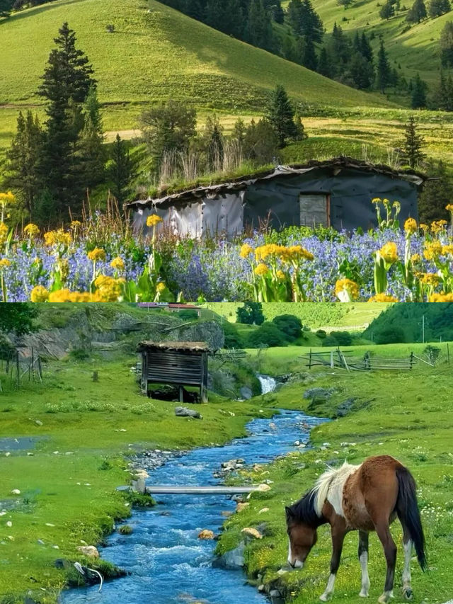 不是瑞士，是川西的夏天！