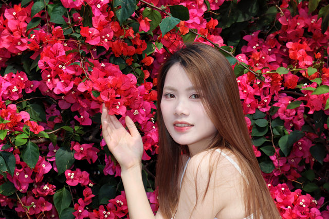 柏曼碼頭花海打卡點