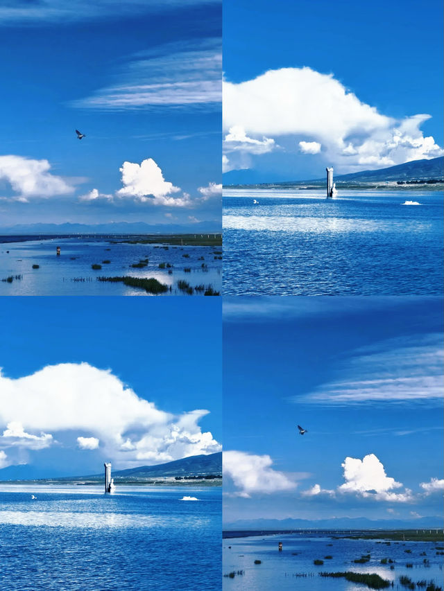 青海的旅遊攻略來了
