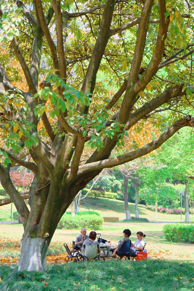 成都寶藏公園，適合一家大細嚟散步、飲茶