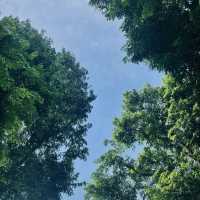 新加坡旅行避雷指南！這些秘境連本地人都在私藏🌴 