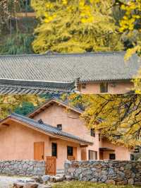 吉安之旅！住到寶藏酒店，太舒服啦