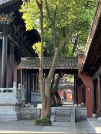 池州，一場心動嘅邂逅
