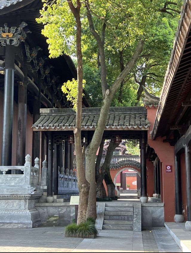 池州，一場心動嘅邂逅