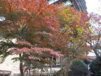 東京秘境酒店 | Tokyo Chinzanso Hotel   酒店：東京椿山莊酒店   