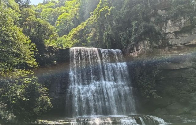 中國酒城，早茶之鄉