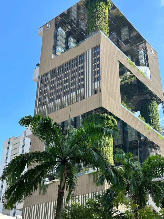 烏節泛太平洋酒店 | Orchard Pan Pacific Hotel   酒店：烏節泛太平洋