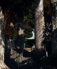 伊豆半島的寶藏靜謐小鎮——修善寺