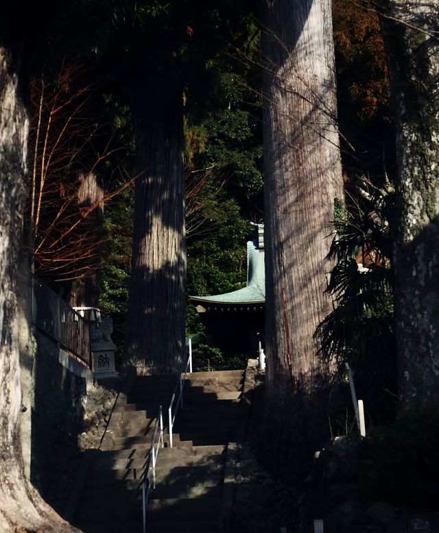 伊豆半島的寶藏靜謐小鎮——修善寺