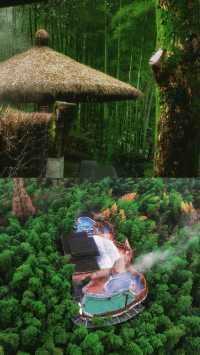 溧陽南山竹海 | 闖入3.5萬畝竹林的綠野仙蹤！保姆級一日遊攻略