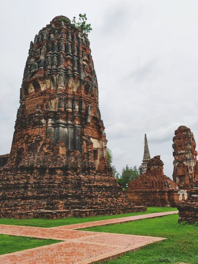 樹抱佛頭：暹羅的「永恆微笑」 地點：瑪哈泰寺（Wat Mahathat） 傳奇故事： 1767年