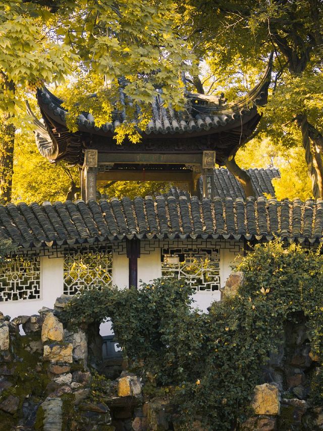 杭州-嘉興-蘇州6日老友記·暢遊江南