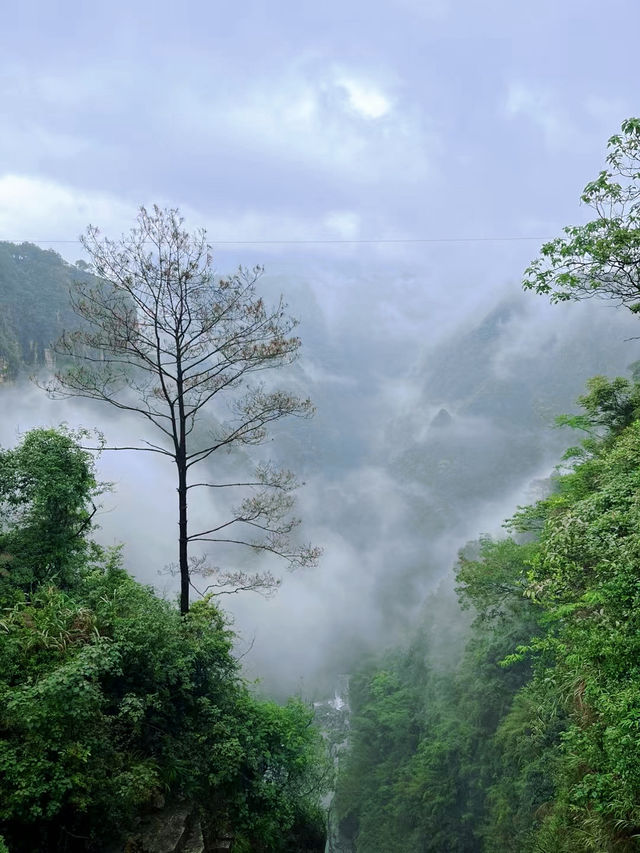 探秘粵北秘境——乳源大峽谷瀑布激流全景觀賞攻略