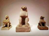 Silk Road Secrets for Free: When & Where to Visit Lanzhou’s Museums