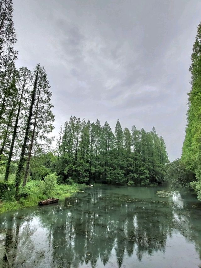 🌸 《夢回紅樓・上海大觀園》