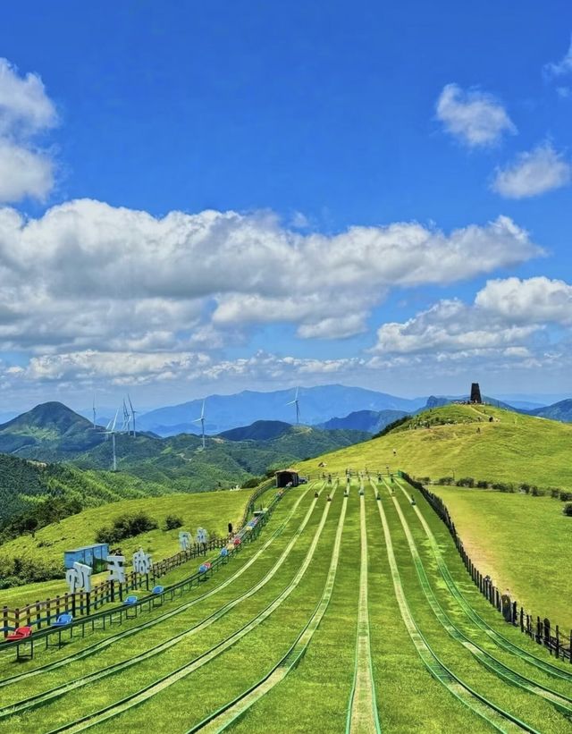 栖身於雲莳里，枕夢仰天湖一隅