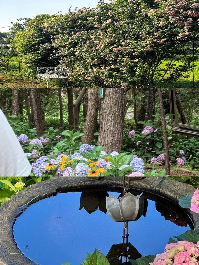 揚州慢活，夏天點可以冇呢片花海呢