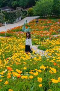 漫花莊園旅遊攻略