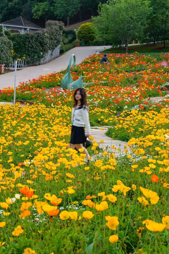 漫花莊園旅遊攻略