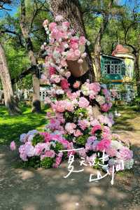 25度嘅夏天，北方嘅清涼秘境！