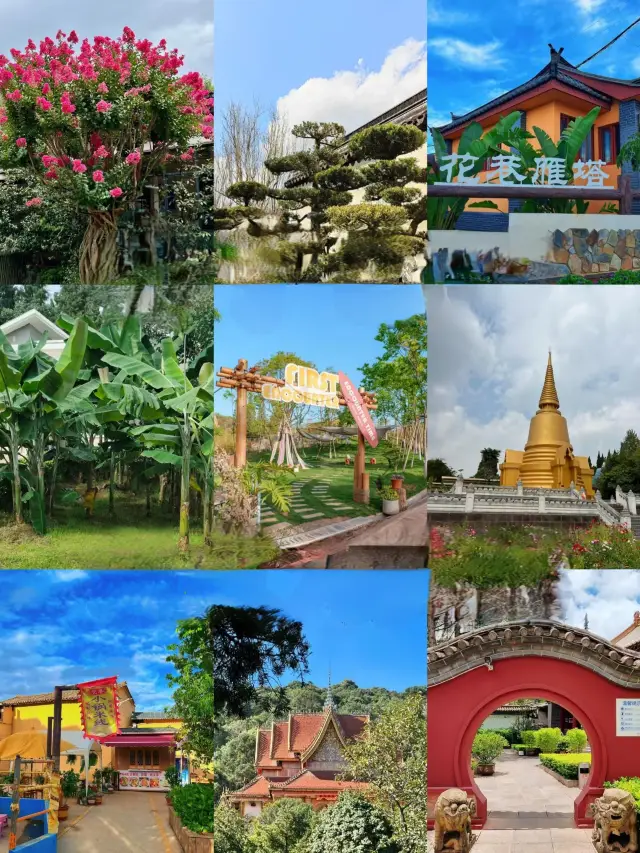 Anning is back, let's talk straight. 