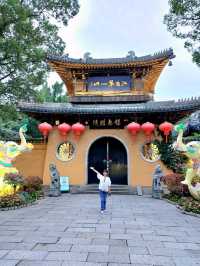 🌳《一棵金樹與一場柔軟的邂逅──我的惠山古鎮漫行記》