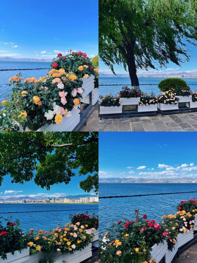 洱海：探索雲南高原嘅翡翠明珠