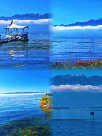 治癒系大海
