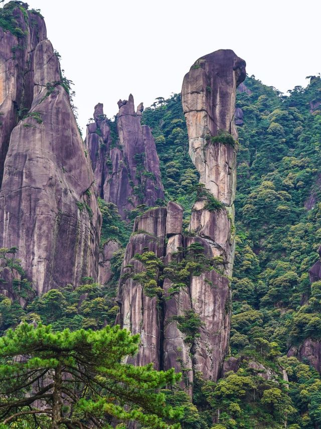 雲海日出佛光星穹，三清山嘅仙山畫卷震撼人心