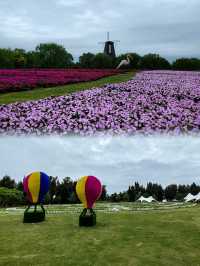 玉環親子遊玩寶藏地！漩門灣國家濕地公園！