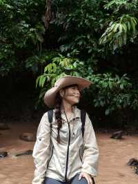 基诺山巴朵村雨林徒步攻略