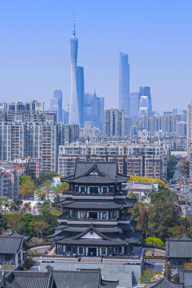 為了拍這九張圖，我特意飛了一趟廣州