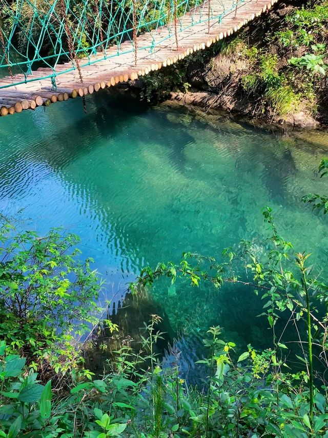 桐廬大奇山—後悔而家先發現呢個旅遊聖地