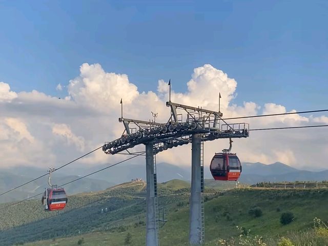 去咗密苑雲頂樂園一趟，終於玩到明晒