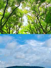 武漢受罪已回，真唔建議7月份嚟