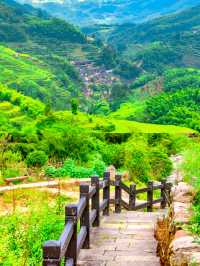 浙江麗水旅行指南：詩畫山水間嘅舌尖與棲居之旅