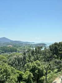 無錫超有格調嘅日式咖啡館打卡山鳥.鳥咖啡！