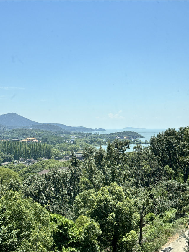 無錫超有格調嘅日式咖啡館打卡山鳥.鳥咖啡！