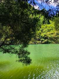 柳州龍潭公園影相避坑指南！避開人潮影出ins風大片
